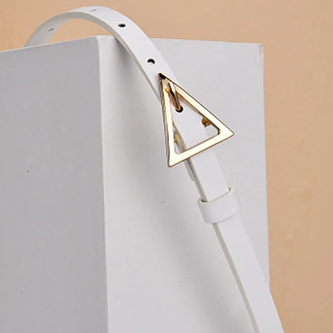 Pas AR-8276 - Bela