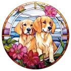 Dog/Typ4